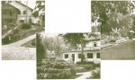 »Pension Büttner«: Rdeča vila, restavracija in park med njima.
Izdelali v Podravski tiskarni, Maribor. Poslana 11. 7. 1938 v Osijek. title=